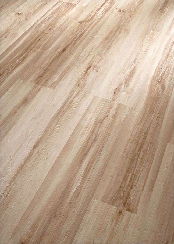 Classen Ahorn Weiss 30257